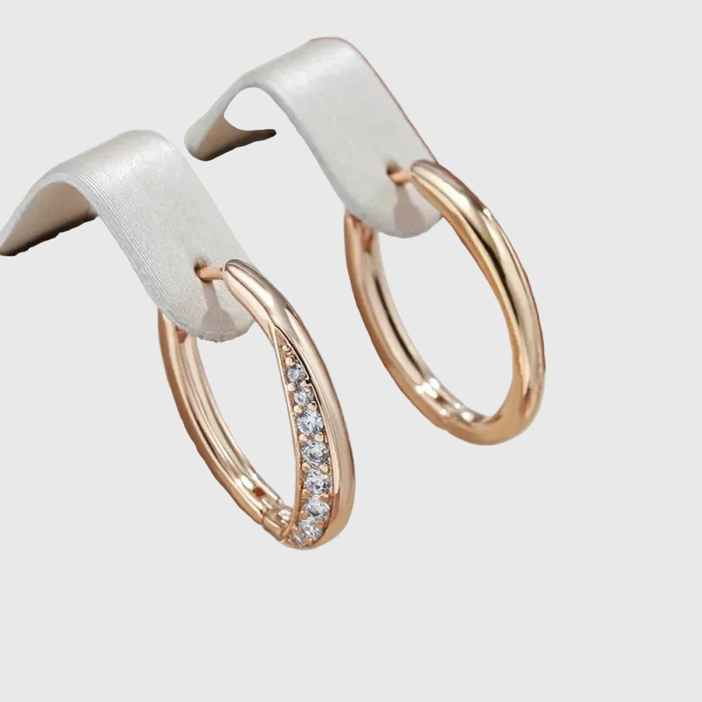 Elegant Golden Hoop Earrings